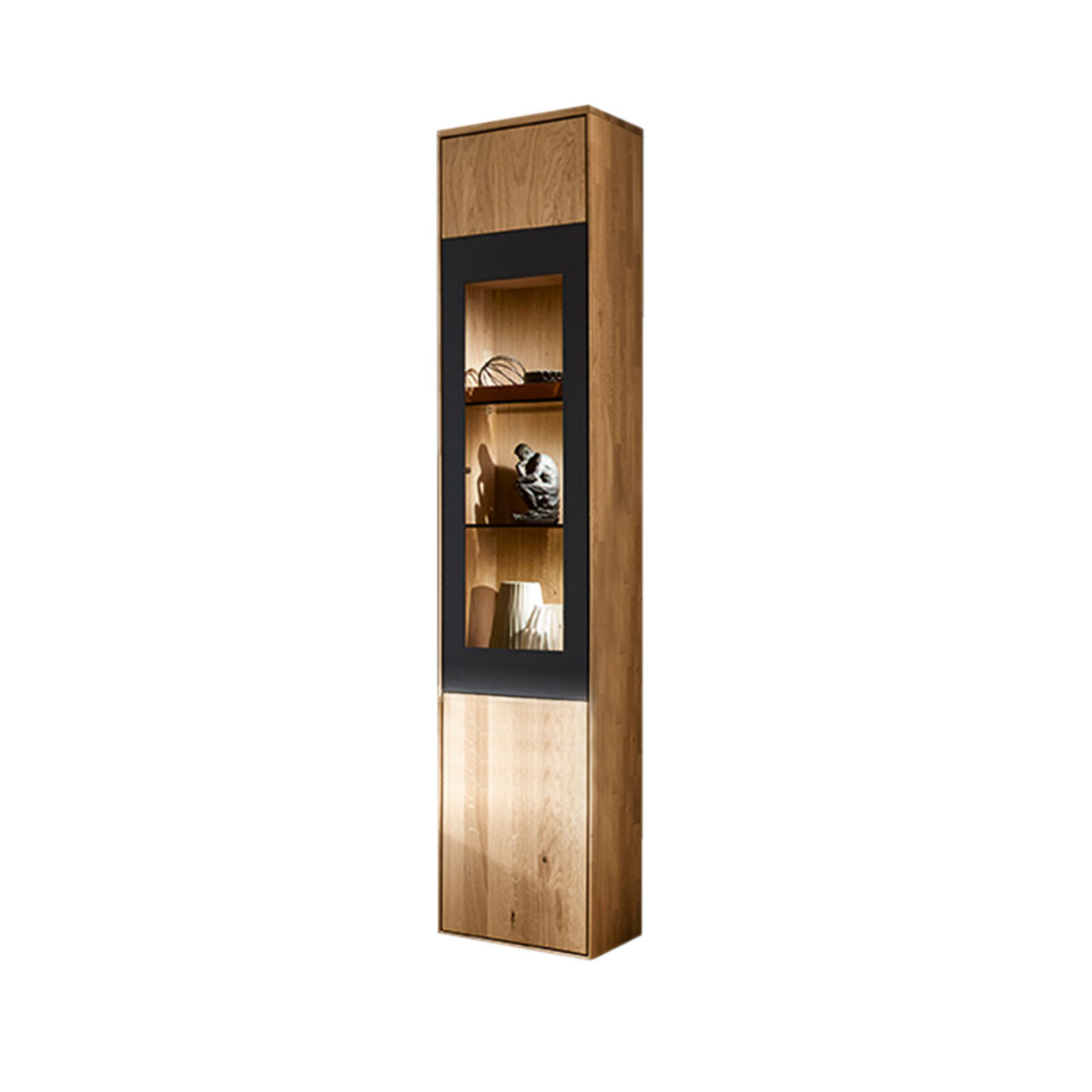 WM1910-Hängelement-Type-15333 Hängeelement Type 15333 als Vitrine abgesetzt mit einem carbonfarbigen Metallrahmen.