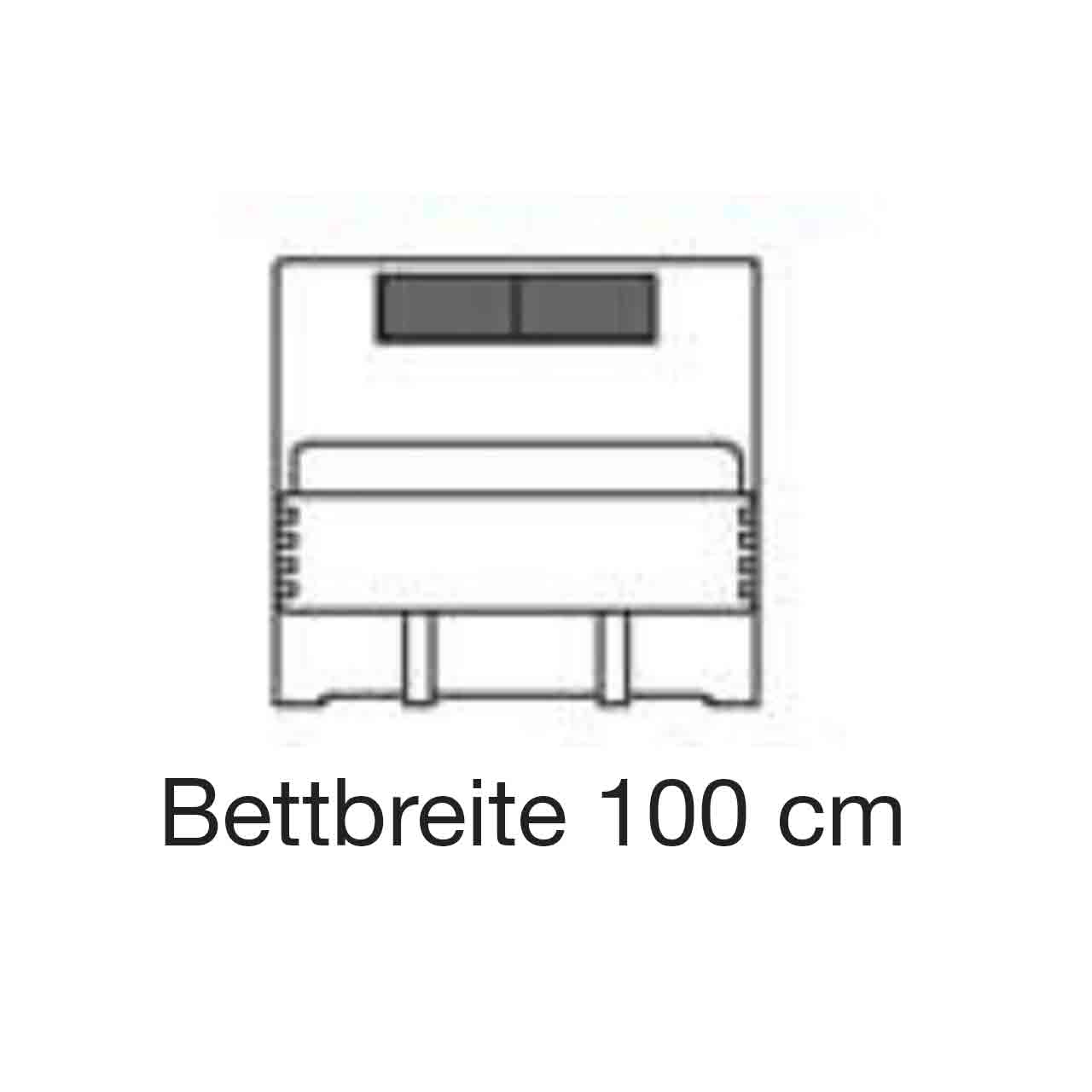 WSM 1600 - 100 x 200 cm Bett 1108