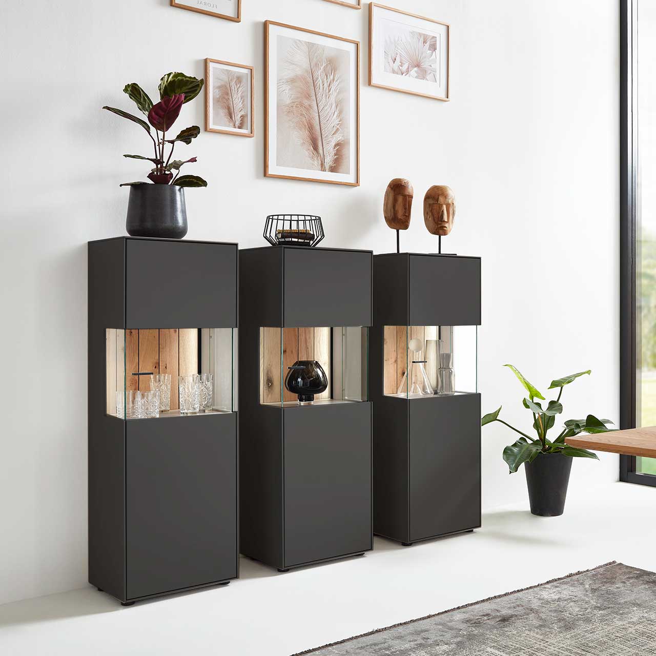 WM 2380 Highboard 4413 Modernes schmales Highboard aus Lack graphitgrau mit besonderen Vitrinenfach das Seitlich einzusehen ist, die Rückwand in Balkeneiche bietet einen schönen Kontrast zur glatten Front.