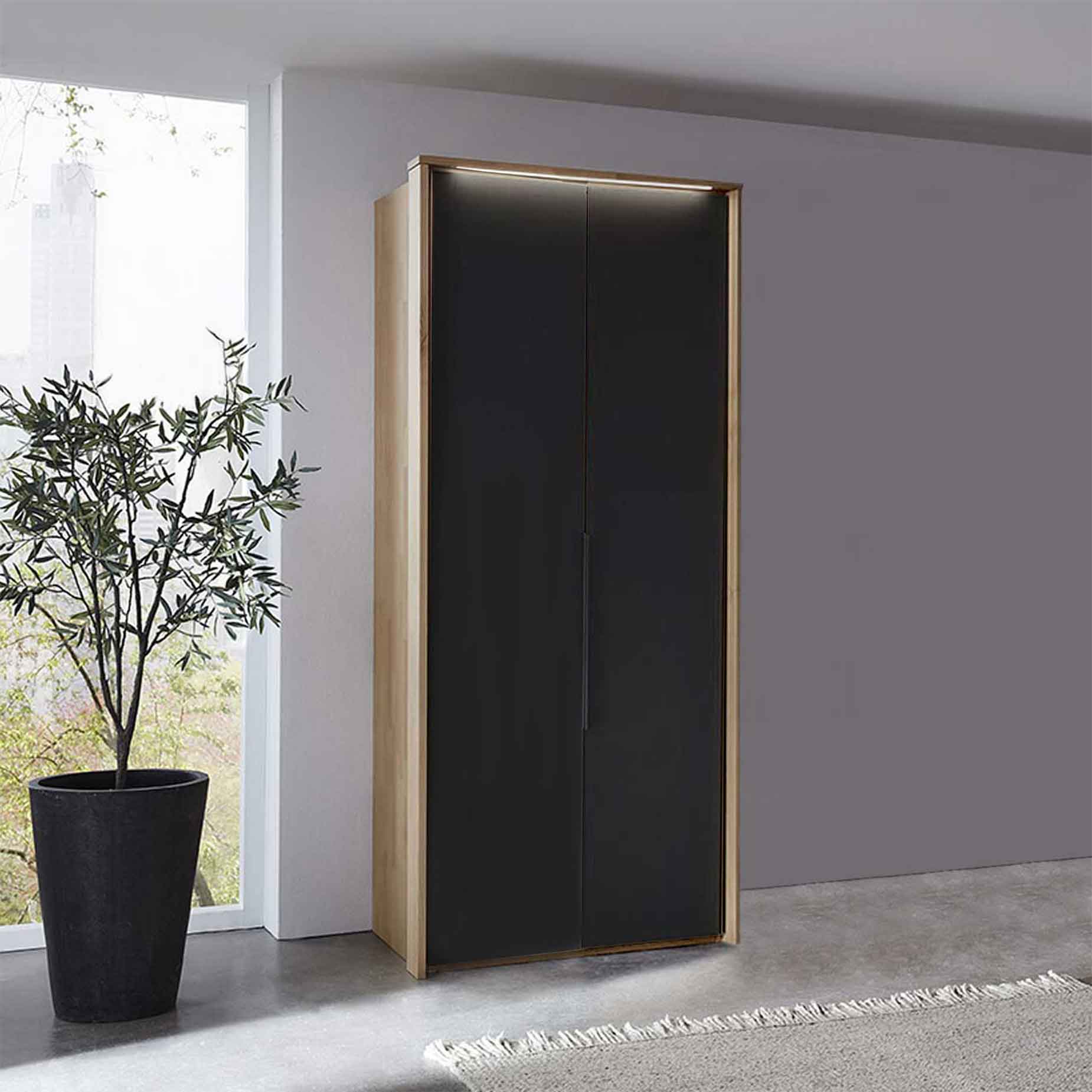  WSM 4400 2-türig Kleidschrank mit Mattglas Akzent B 101,9 x H 223,3 cm