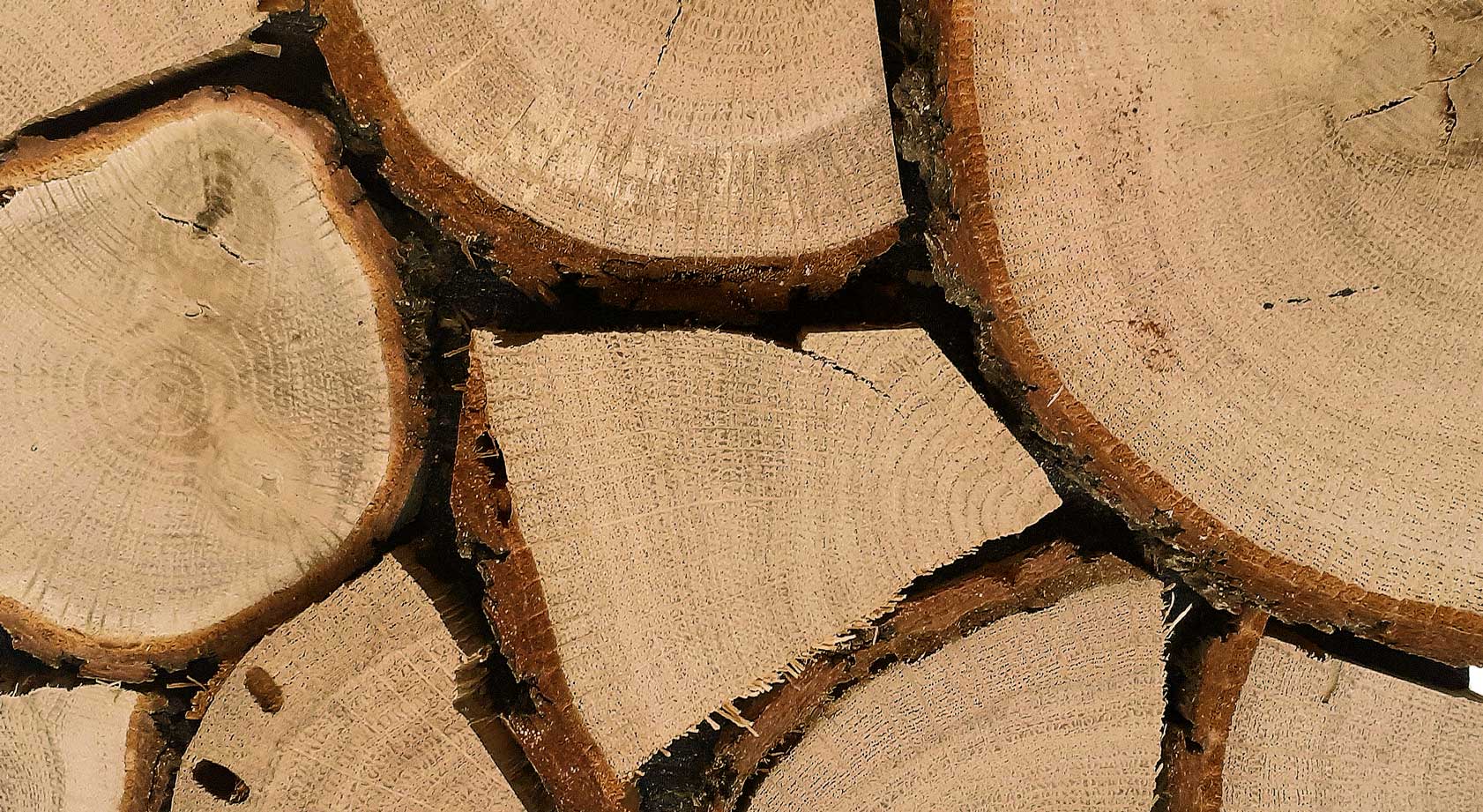 Kaminholz Akzent-Kachel in Kaminholz, zeigt gespaltenes Holz mit Rinde, Oberfläche in warmem Naturtöne.